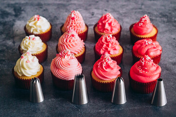 Delicious cupcakes. Cupcakes and confectionery attachments for cream. Cupcakes on a concrete table 