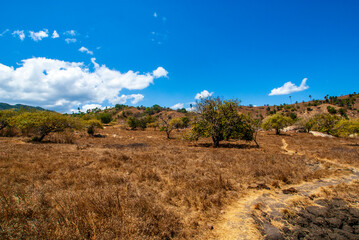 Landscape of Komodo National Park, Rinca, Lesser Sunda Islands, Indonesia, Asia