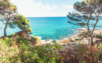 Fototapeta premium Nice sea view, on the coast of Spain. Costa Brava is a coastal region of Catalonia in northeastern Spain. Sea with rocky beaches and dense fir-trees.