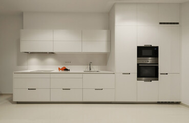 Kitchen interior in new luxury home with touch of retro. Modern appliances.