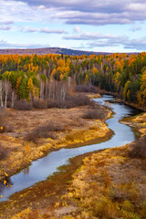 Autumn river creek stream in woods. Forest trees landscape woodland fall.