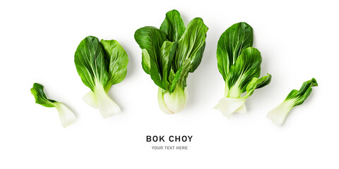 Bok choy collection on white background.