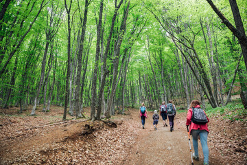 travelers climb the mountain in a forest hike