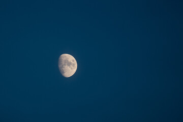 Naklejka na ściany i meble Beautiful half moon on a clear blue sky