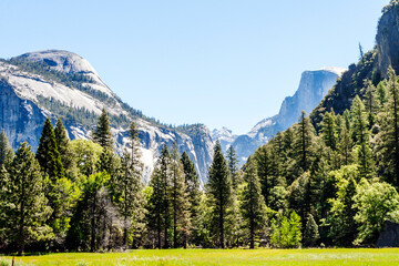 Yosemite National Park