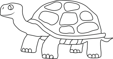 Cute desert tortoise