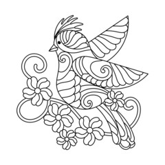Coloring page for older children. Birds hand drawn in vintage style. Vector illustration