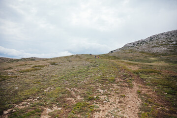 beautiful landscape of a mountain peak without trees