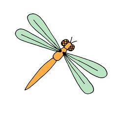 Dragonfly. Insect. Flight. Vector. Doodle. Sketch. Drawn by hand.