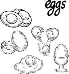 Eggs, sketch, food, breakfast hand drawn vector isolated illustartion and lettering on bright background. Concept for logo, print, cards