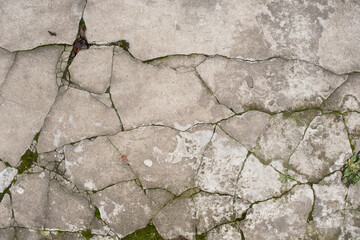 Obraz premium Pattern of old concrete floor , dirt, stains, moss.