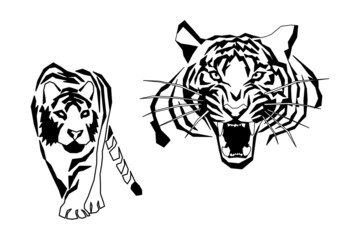 An aggressive tiger. Set4. New Year, Christmas 2022.