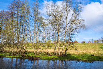 Fototapeta na wymiar Tree lined at a river in a rural landscape at spring
