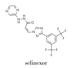 Selinexor cancer drug molecule. Skeletal formula.