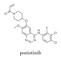 Fototapeta premium Poziotinib cancer drug molecule. Skeletal formula.