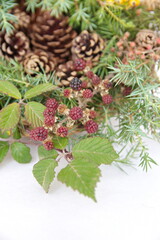 Christmas wreath with wild berries, conifer cones, spruce branches on white background