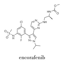 Encorafenib melanoma drug molecule. Skeletal formula.