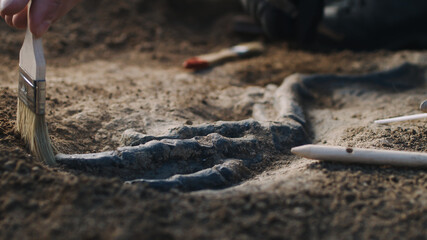 Crop archaeologists digging out dinosaur limb