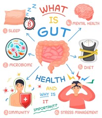 Fototapeta premium Gut health medical infographics set. Care components about bowel for healthy digestion, wellness. Vector illustration