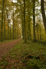 Beautiful view of Enghien park