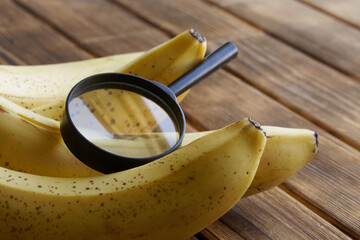 Magnifying glass and bunch of bananas on the background of natural boards. The concept of quality...