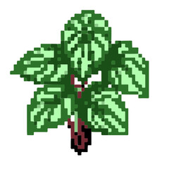 Pixel plants for games and websites
