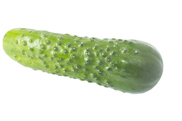 Cucumber on white background