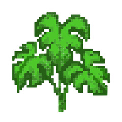Naklejka na ściany i meble Pixel plants for games and websites