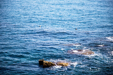 Fototapeta premium 외옹치항