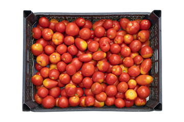 crate with fresh tomatoes isolated on white background