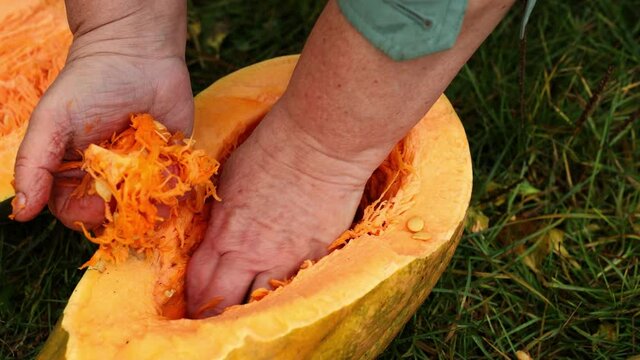 Pumpkin seeds in hand, close-up food detail