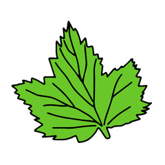 Vector illustration of a green currant leaf isolated on a white background