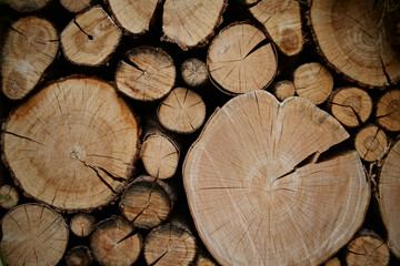 Naklejka premium Beautiful background from wooden bars.