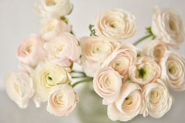 Fototapeta na wymiar The background of ranunculus colors is gently pink. A riotous peony-shaped rose bouquet