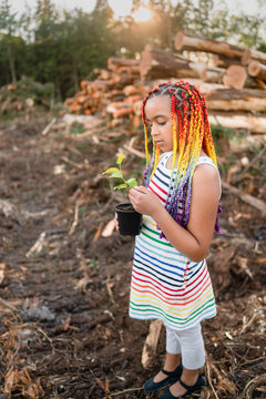 Girl with rainbow braids examines sapling on logging site