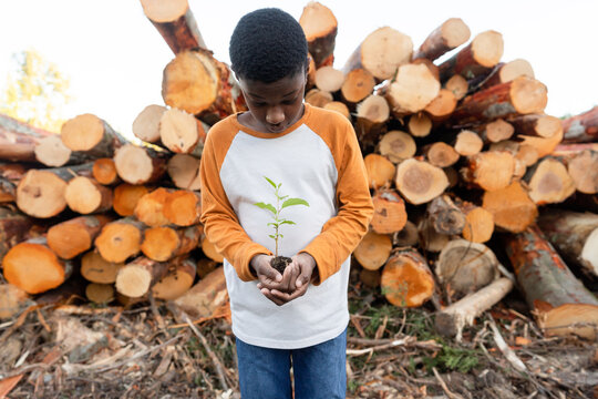 Young Black boy looks down at sapling in his hands
