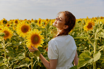 pretty woman with pigtails sunflower fields landscape sun