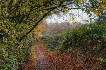Herbst im Rinderbachtal bei Velbert und Heiligenhaus 