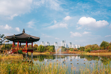 Hanbat Arboretum, Pond and traditional pavilion at autumn in Daejeon, Korea - obrazy, fototapety, plakaty