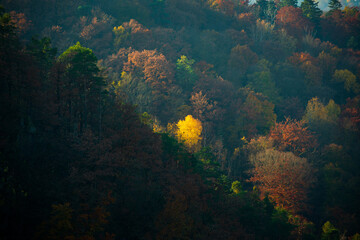 Naklejka na ściany i meble Autumn river colors nature, Vltava.