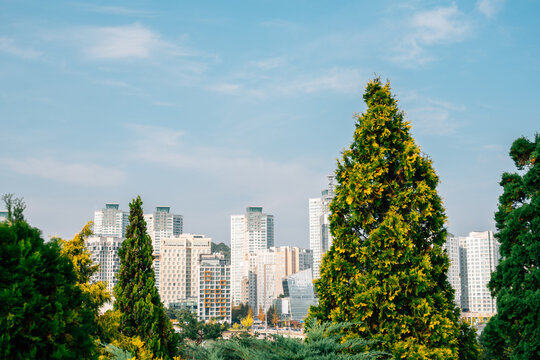 Hanbat Images – Browse 54 Stock Photos, Vectors, and Video | Adobe Stock
