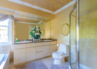 Fragment of a luxury bathroom
