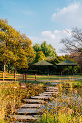 Hanbat Arboretum autumn nature scenery in Daejeon, Korea