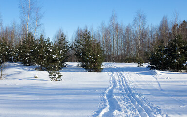 Path and footprints in the winter forest