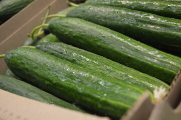 cucumbers in the market