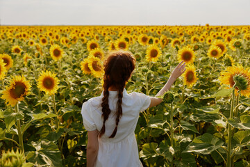 woman's back in a field of sunflowers flowering plants