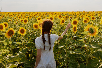 woman with pigtails touches sunflower with hand in nature field