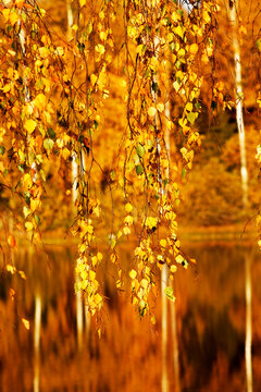 Polska złota jesień