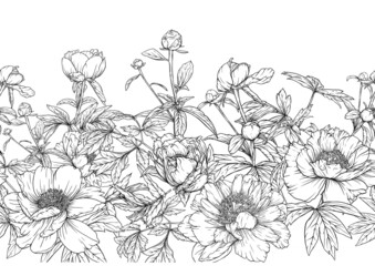 Peonies flowers. Seamless pattern, background. Outline hand drawing vector illustration. In botanical style