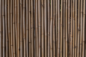 Natural detailed bamboo textured wall as a background